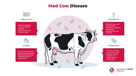 Strategy Guides/Mad Cow Disease .